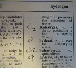 (2) Pitman's Shorthand Dictionary words