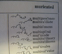 (3) Pitman's Shorthand Dictionary words